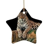 Diseño de impresión de doble cara: este adorno de cerámica de doble cara con estampado de leopardo de vida silvestre africana cuenta con patrones distintivos en ambos lados (formas de estrella/corazón), añadiendo atractivo visual en capas a tu decoración navideña, lo que lo convierte en una pieza destacada en cualquier árbol.