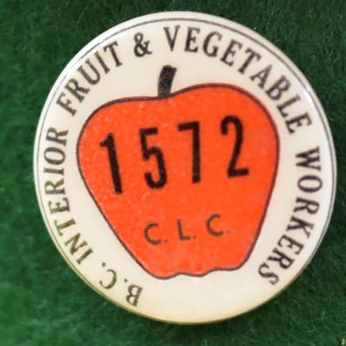 Ep.33 - Apple Box Belles