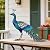 chisheen Metal Peacock Statue Garden Decor Yard Art Sculpture Outdoor Decoration for Lawn,Patio,Backyard,Housewarming Birthday Gifts for Women,Mom,Grandma