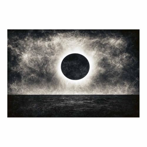 Tableau noir et blanc éclipse solars HOQIU, toile murale de salon haut de gamme