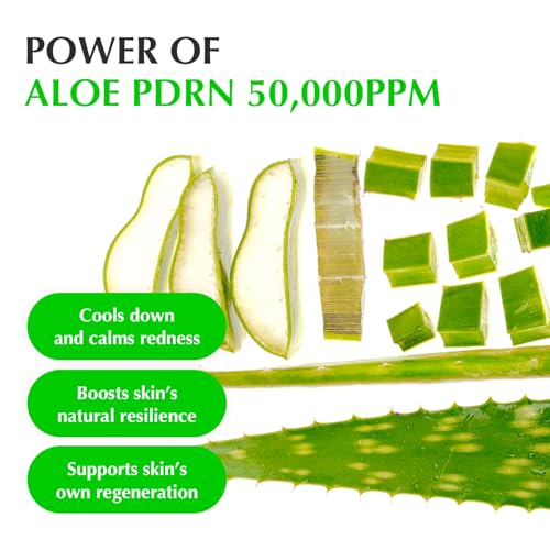 Image of EQQUALBERRY Aloe PDRN Calming Smoothie Serum - Soothing Korean Skin Care for Sensitive Skin, Cica & Aloe for Repair, Hydrating & Radiant Glow, Non-Comedogenic (1.01oz / 30ml)