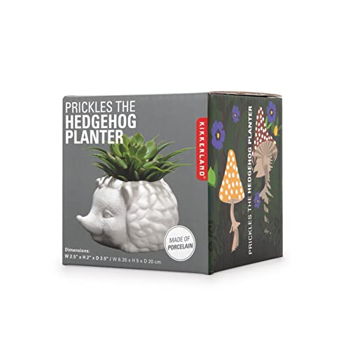 Kikkerland – Prickles The Hedgehog Planter - Cute Ceramic Animal Succulent Plant Pot - 7.8 cm x 14.8 cm x 13 cm