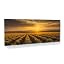 Sage Sunset Symphony 68