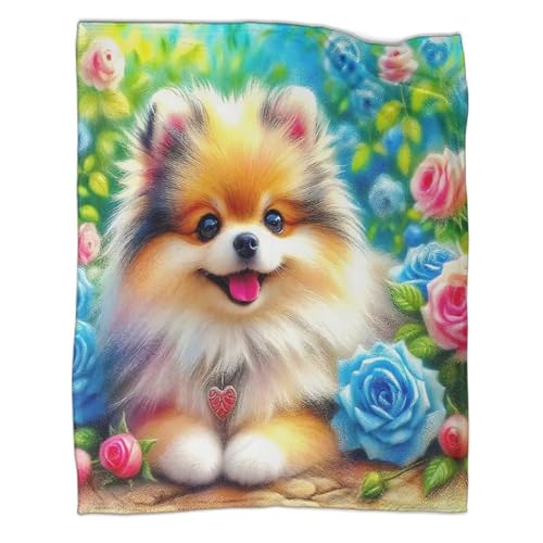 Couverture chaude Poméranie 3D en microfibre isolante et douce - 3