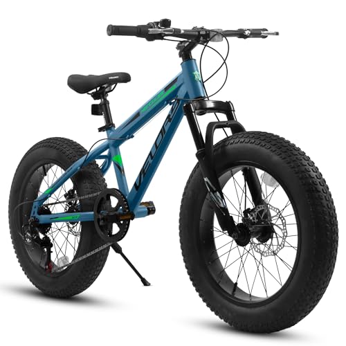 BKNROIHB 20 Inch Fat Tire Bike Adult 7 Speed Mountain Bike, Dual Disc Brakes, High Carbon Steel Frame, Front Suspension, Mountain Buggy, City Commuter City Bike, Fat Tire Bike(Blue)