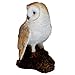 Barn Owl on a Stump by Michael Carr Designs - Outdoor Owl Figurine for gardens, patios and lawns (80050)