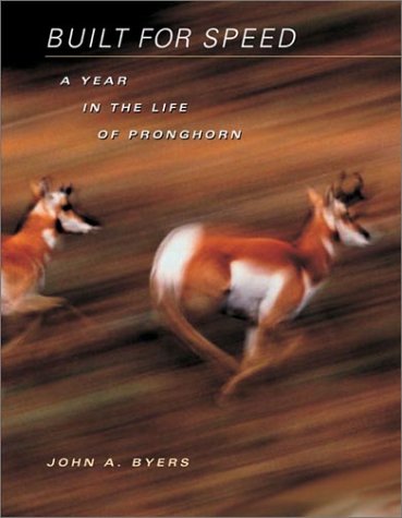 Built for Speed: A Year in the Life of Pronghorn