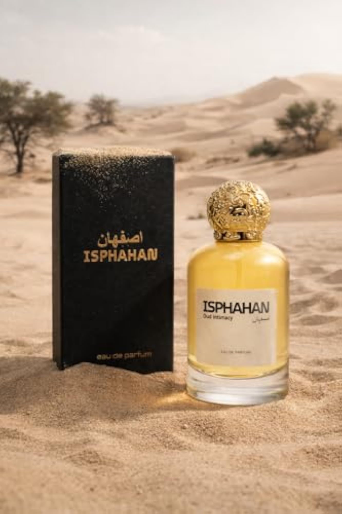 OUD INITIMACY Eau de Parfum, 100ml, Spicy Fragrance