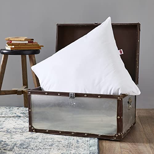 DODO - Oreiller Naturel Anti-acariens 65x65 cm - Confort Médium, Zip Invisible - Enveloppe 100% Coton Percale - Garnissage 30% Duvet 70% Plumettes - Lavable...