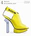 Shoes Page-A-Day Gallery Calendar 2020