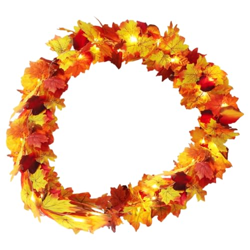 H̃K[h,175cm H̃K[h LEDCgt - p[v[t̂ z[n[xXg Op Ki gF - _ƕփ|[`}gKie[ufR[V