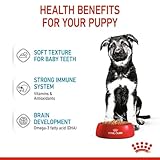 Royal Canin Maxi Puppy Welpenfutter für Hunde großer Rassen | 4er Pack | 4 x 10 x140g | Alleinfuttermittel für große Hundewelpen mit einem Endgewicht von 26 bis 44 kg
