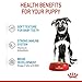 Royal Canin Maxi Puppy Welpenfutter für Hunde großer Rassen | 4er Pack | 4 x 10 x140g | Alleinfuttermittel für große Hundewelpen mit einem Endgewicht von 26 bis 44 kg