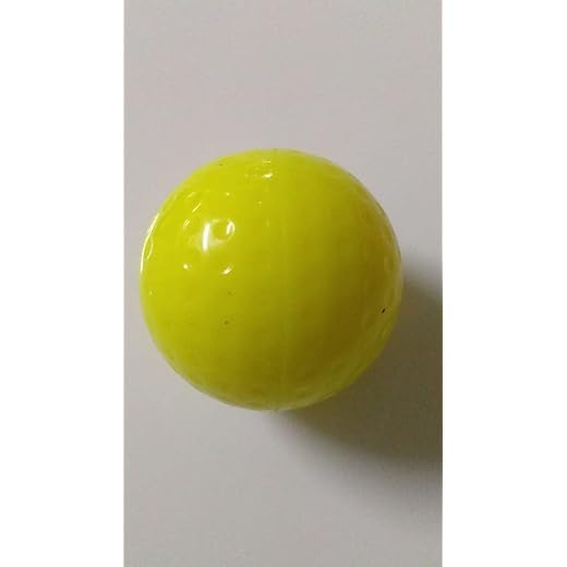 GDON Softball Practice Ball 180g 12