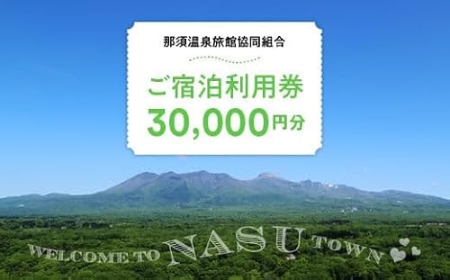 那須温泉旅館協同組合 ご宿泊利用券 30,000円分(3,000円×10枚)〔G-16〕