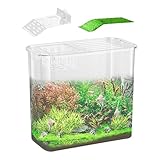 Fish Tank for Betta Fish, Clear Desk Fish Tank, Turtle Tank Starter, Ornamental Fish Bowl...
