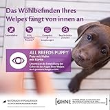 Wellness CORE 95% 6 x 400g, Huhn & Truthahn – Hundefutter Nass, stückige Pastete für Welpen, getreidefrei, natürlich, hypoallergen, proteinreich, hoher Fleischanteil