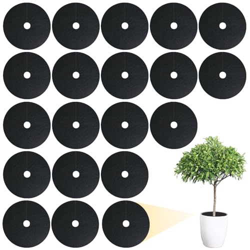 XOKL Lot de 20 Colliers de Chou pour Plantes - 15 cm de diamètre - Anneau de paillis Rond conçu pour Dissuader Les Mouches des Racines, Les nématodes, Les limaces et Les escargots