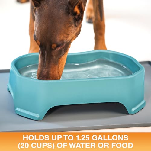 Image of Neater Pet Brands Extra Large Water Bowl for Dogs, Outdoor Dog Water Bowl (1.25 Gallon XL Capacity), Big Trough Style Food Dish for Indoors or Outside, No Spill Large Dog Bowls, Aquamarine
