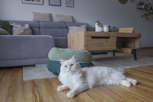 Kerbl-Pet-Kuschelbett-Anne-gruen-O40cm-Hoehe-23cm - sparfuchs24.io – Top Angebote, Tests & Preisvergleiche