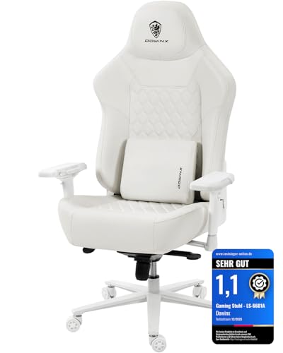 Dowinx Sedia da gaming da ufficio, portata 200 kg, ergonomica, con braccioli 4D e supporto lombare, altezza regolabile per gamer Esport, colore bianco