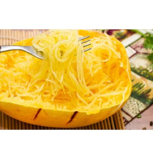 Sementes Abobrinha Macarrão Vegano (Linha Carol Costa) ISLA