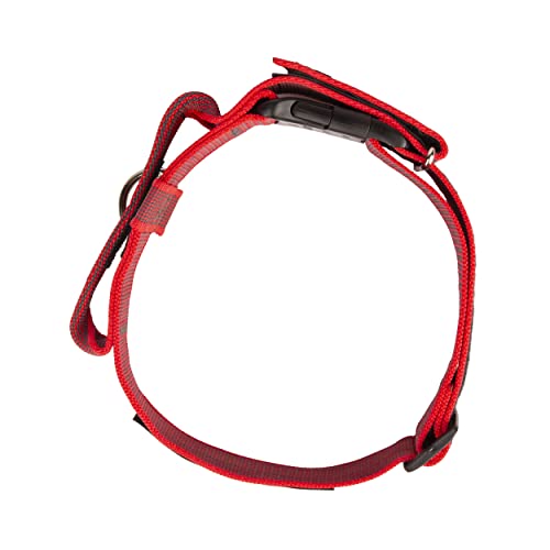 JULIUS K-9 200HA-K-R-2015 Color & Gray series- K9-Halsband mit Haltegriff, Sicherheitsverschluss und Logo und Sicherheitsverschluss, 50 mm*49-70 cm, verstellbar, rot-grau, 50 mm (49-70 cm)