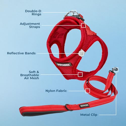 Image of Best Pet Supplies Voyager Step-in Air All Weather Mesh Harness and Reflective Dog 5 ft Leash Combo with Neoprene Handle, for Small, Medium and Large Breed Puppies - Harness Leash Set (Red), XXS