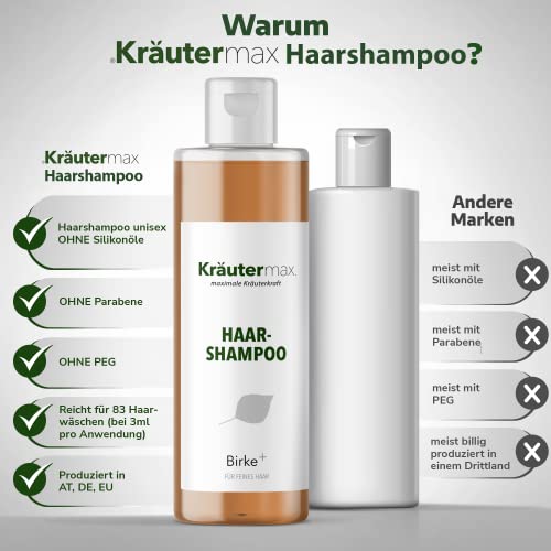 Birkenshampoo Haare Birke Shampoo Haarshampoo zur Haarpflege 1 x 250 ml