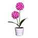 Produktbild FeiliandaJJ Solar Zwiebel Kugel Blume Lichter Künstliche Topfblume Bonsai LED Licht Kinder Nachtlicht Innen Muttertag Geschenk Haus Deko (Pink)