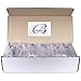 Beauticom Standard Style Business Card Holder Organizer Stand Display for Offices, Receptionist, Salons, and Businesses (Clear, 12 Pieces)
