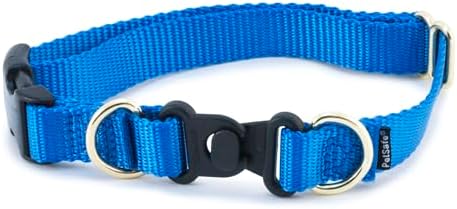 PetSafe KeepSafe Break-Away Collar, Prevent Collar Accidents for Your Dog or Puppy, Improve Safety, Compatible with Lead Use, Adjustable Sizes
