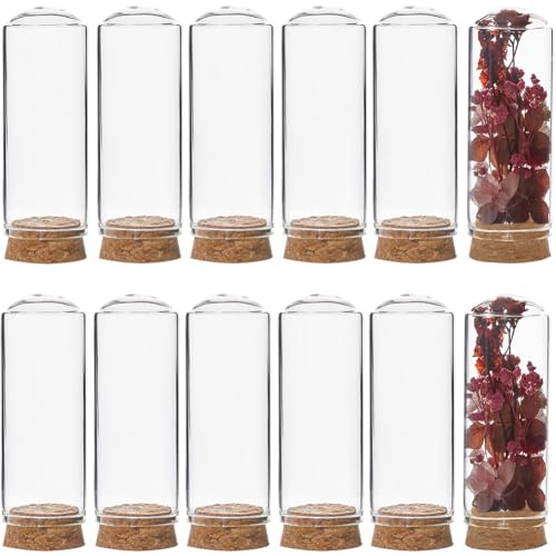 SUNNYCLUE 12Pcs Mini Cloche Dome 30x80m Mini Display Bell Jar with Cork Base 40ml Glass Dome Cover Mini Dome Glass Cloche Bell Jar Decorative Vial for Flower Storage Home Christmas Party Favor Decor