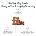 Portland Pet Food Company Gingerbread Dog Treats Healthy Biscuits for Small Medium & Large Dogs - Grain-Free, Human-Grade All Natural Cookies, Snacks & Puppy Training Treats - Made in the USA - 5 oz