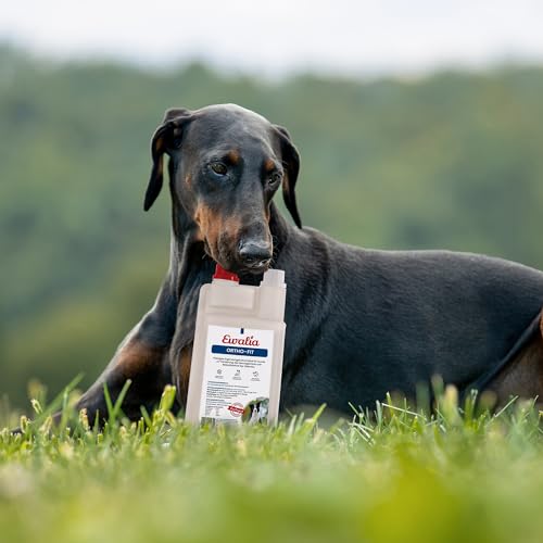 NEU! EWALIA Ortho - Fit für Hunde - Schenken Sie Ihrem Hund Neue Bewegungsfreude mit unserer natürlichen Gelenkunterstützung - mit Tierärzten entwickelt, 100% Natur pur, frei von Zusätzen - 500ml