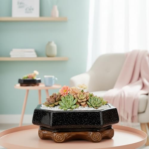 Image of Xtore Refined Rustic Ceramic Bonsai Planter Pot for Indoor & Tabletop Decor | Handcrafted Wide Bowl with Wooden Base Stand for Succulents, Zen Gardens & Home Styling (Pack of 1,Planter Only)