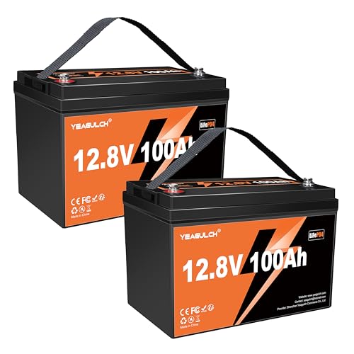 2 Pack 12V 100Ah LiFePO4 Battery