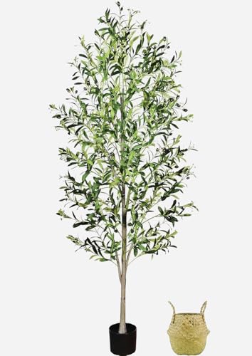 A 6-Foot Tall Artificial Indoor Olive Tree with Realistic Olive Fruits and Buds with Black pots...