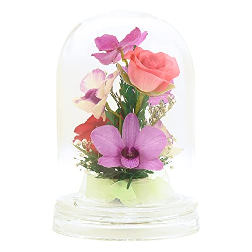 d̂͂ hCt[ {gt[ ~jh[{g Eo  KX   ~ ~I d  Mtg 