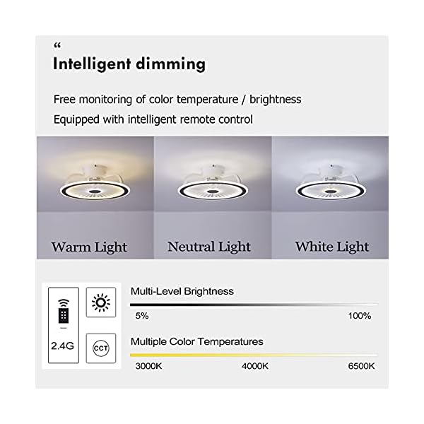 OMGPFR Mute Ceiling Fan with Lighting LED Light App and Remote Control Ultra-thin 18CM Ceiling Lamp Invisible Quiet 40W Dimmable Fans Ceiling Lights for Living Room Bedroom Lighting - Image 5
