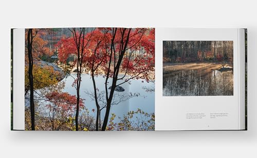 Garden Portraits: Experiences of Natural Beauty - Image 6