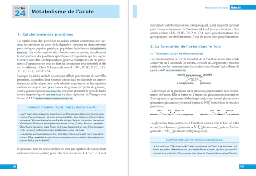 L'essentiel de Biochimie - Licence 1 / 2 / PASS - 2e éd. – vue 5