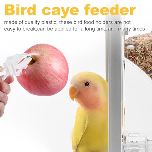 MIRKUZI Handfütterungszubehör für Vögel 6 Stück Kunststoff-Futterspender-Clips für Vogelkäfige, Obst- und Gemüse-Clips für Papageien, Vogelkäfig-Zubehör für Wellensittiche, Sittiche, Kakadus, Aras