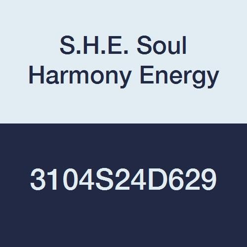 HES 18103806 310 4S Folger Adam Electric Strikes, Grade 1, Bright Stainless Steel