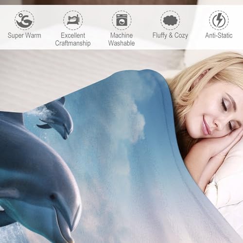 Plaid dauphin douillet pour vos soirées cinéma cocooning sur le sofa - 4