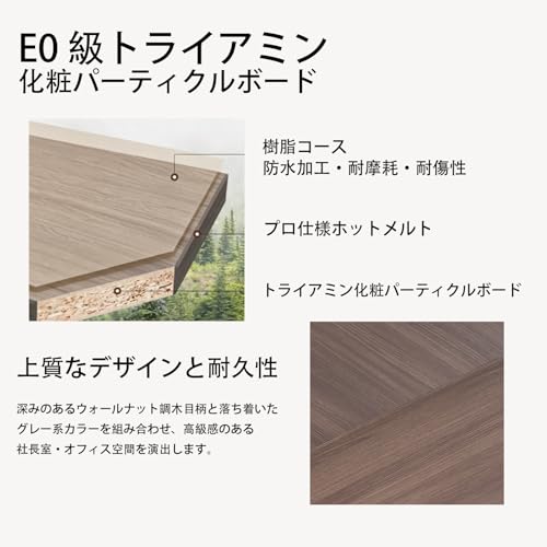 【Ho-ru-mi】エグゼクティブデスク 両袖机 役員デスク 社長机 オフィス用 事務机 会社用 1人用テーブル ワークデスク 収納付き 通線穴付き コンパクト作業ホワイト BGZ-55NP-L0 幅140x縦70x丈75cm [4]