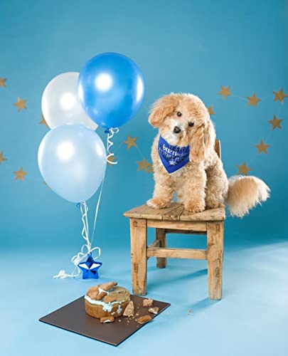 Its My Birthday Dog Bandana, Boy Dog Birthday Party Supplies #TOP5