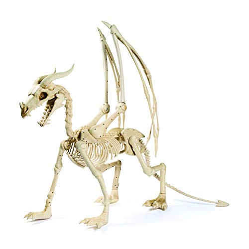 Halloween Decoration: 36 Dragon Skeleton