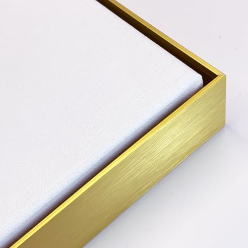 Akfado Floating Frame for 40x40 Canvas Paintings Prints, DIY Metal Floater Frame for Portrait Landscape Oil Paintings, Painting Frame for Art Show Gallery Wall Home Office Living Room Decor (Gold)