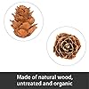 Deloky 800PCS Christmas Natural Mini Pine Cones-Thanksgiving Pinecones Ornaments-Fall Small Pinecones Vase Fillers for DIY Crafts, Fall, Christmas,Wedding Decor #2